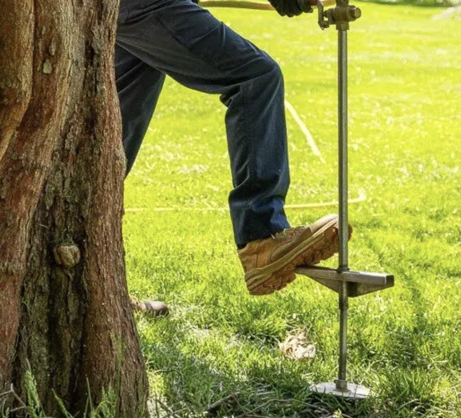 tree fertilization in the chicagoland area4